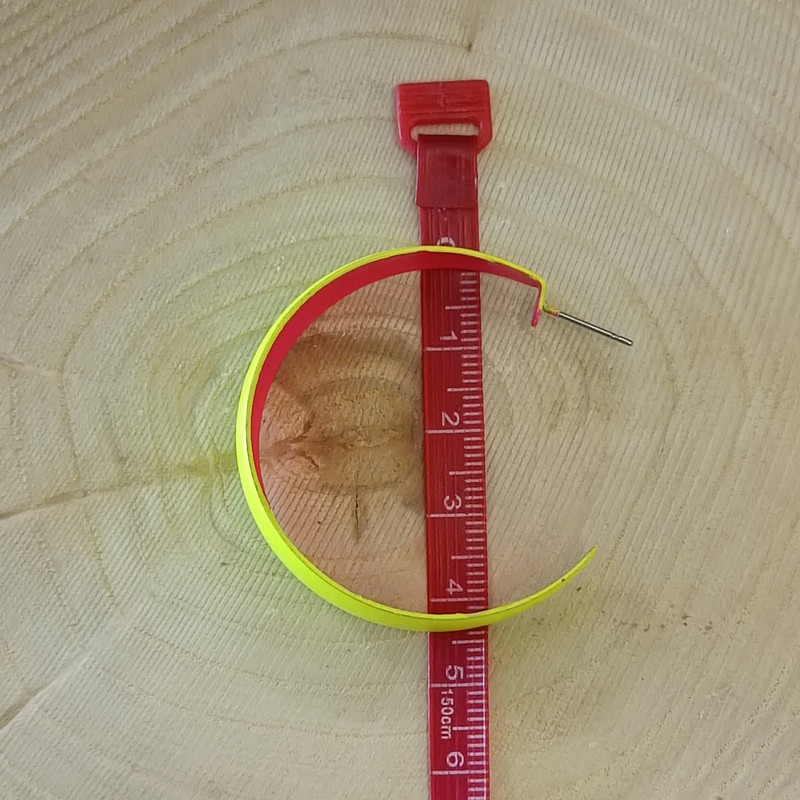 گوشواره زنانه مدل هلال عروسکی