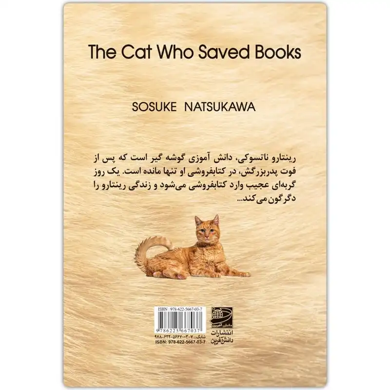کتاب گربه ای که کتاب ها را نجات دادا ثر سوسوکه ناتسوکاوا انتشارات دانش آفرین