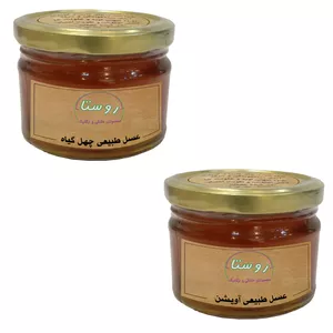 عسل طبیعی آویشن و چهل گیاه روستا - 350گرم بسته 2 عددی