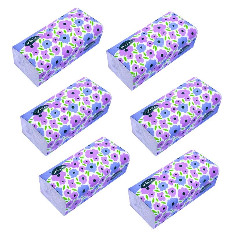 دستمال کاغذی 250 برگ فول تایم مدل دولایه اقتصادی کد M114 بسته 6 عددی