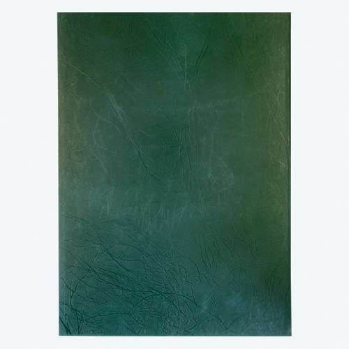 لوح تقدیر مدل ماندگار 01