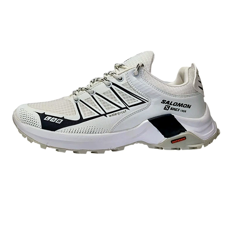 کفش پیاده‌روی مردانه مدل salomon-viko-w