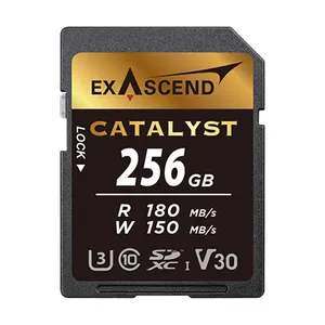 کارت حافظه SD اکساسند مدل Catalyst کلاس 10 استاندارد UHS-I U3 سرعت 180MBps ظرفیت 256 گیگابایت