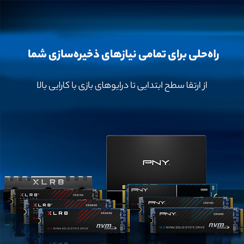 اس اس دی اینترنال پی ان وای مدل CS900 SATA ظرفیت 120 گیگابایت