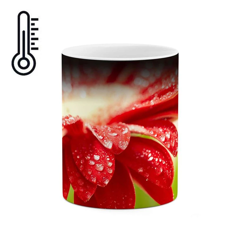 ماگ حرارتی کاکتی مدل گل کد mgh12044