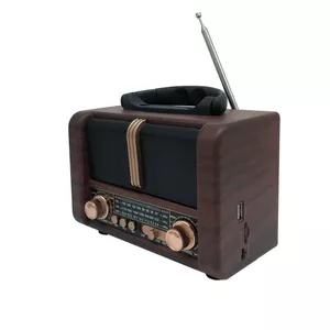 رادیو مدل NS-8107bt