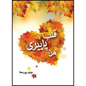 کتاب قلب پاییزی من اثر مولود پورصفا انتشارات ارسطو