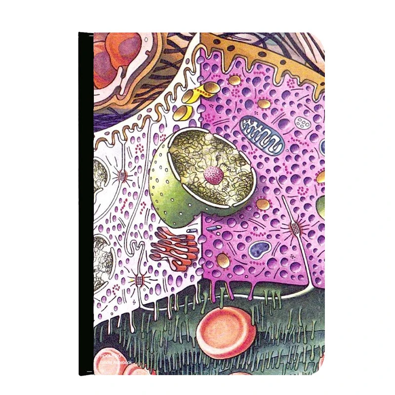 کلاسور هومرو مدل KL1358 طرح زیست شناسی و بیولوژي