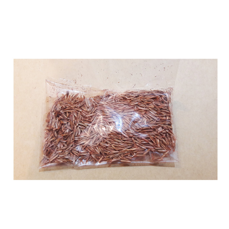 گلدان مدل ایموجی 4