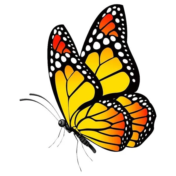 استیکر پارچه و لباس پاد آفرین مدل پروانه کد 477