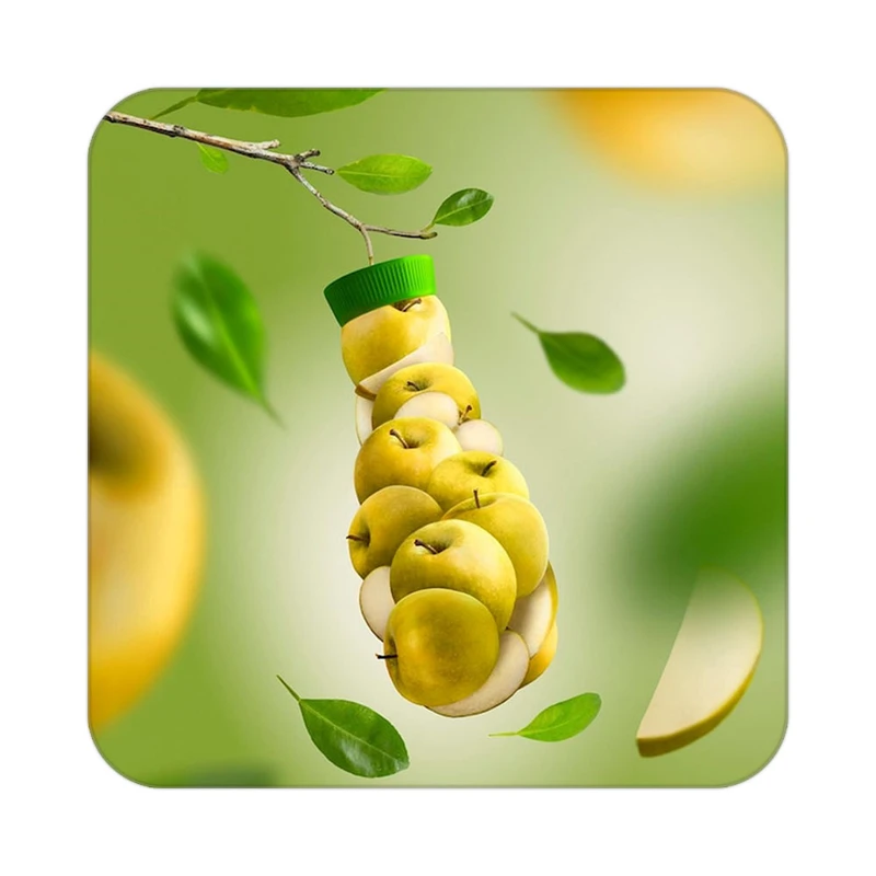 زیر لیوانی کاکتی طرح میوه مدل mp22115