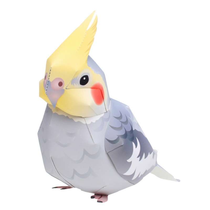 ماکت مدل عروس هلندی کدH58