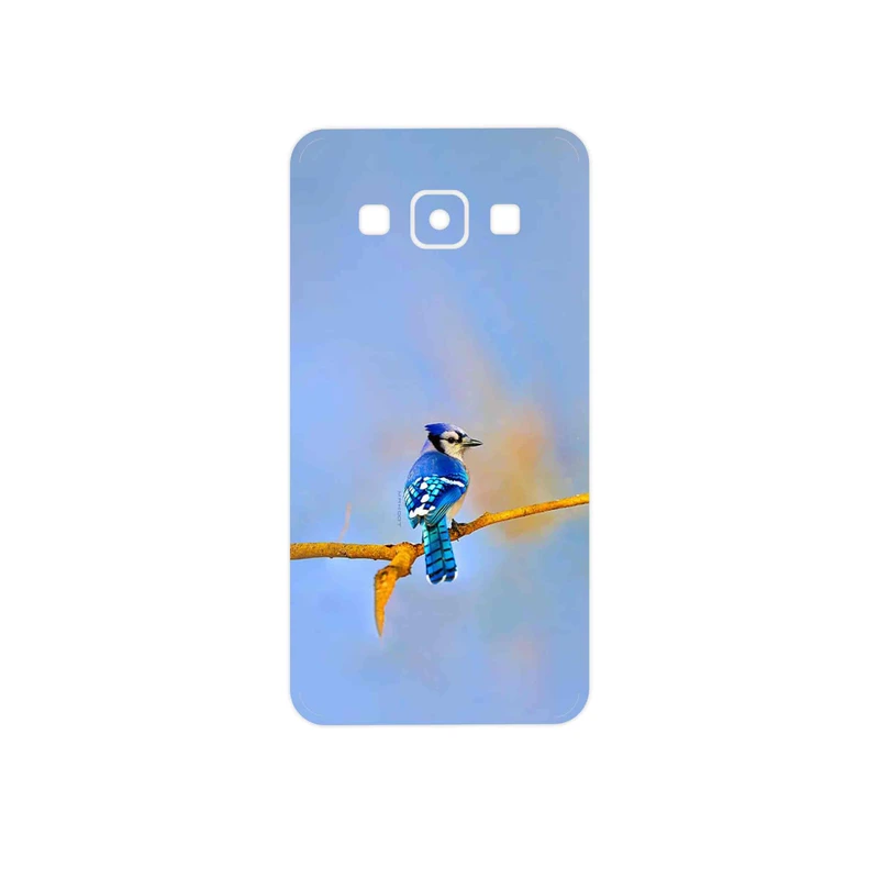 برچسب پوششی ماهوت مدل Cyanocitta cristata مناسب برای گوشی موبایل سامسونگ Galaxy A3
