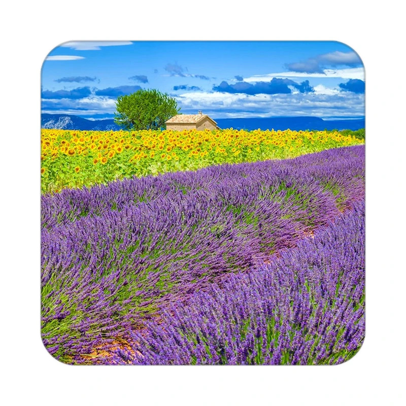 زیر لیوانی کاکتی طرح گل مدل mp18020