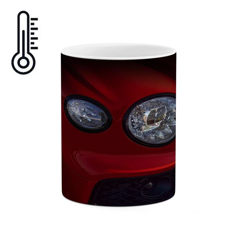 ماگ حرارتی کاکتی مدل ماشین کد mgh14621