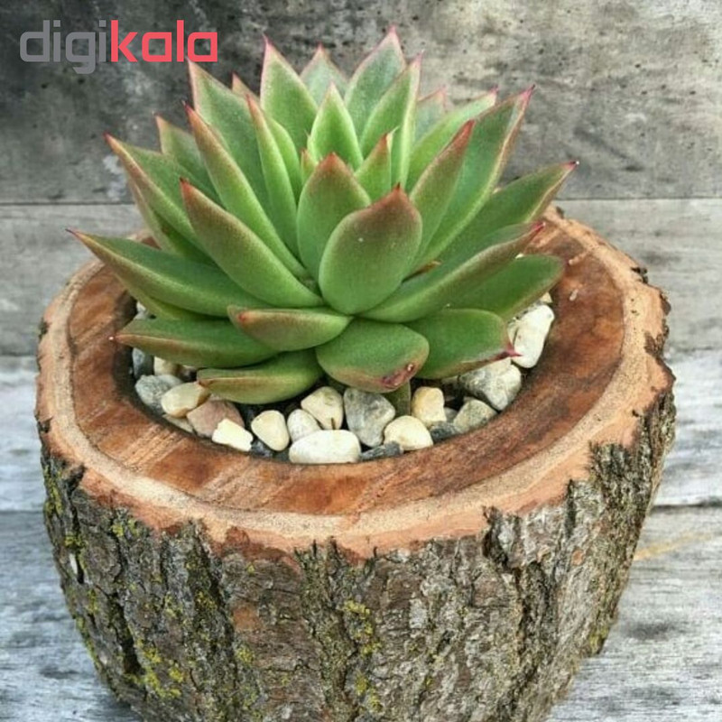 گلدان مدل G-m-0002