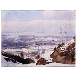 فرش ماشینی جانگل مدل Winter Holiday کد 3D-R46