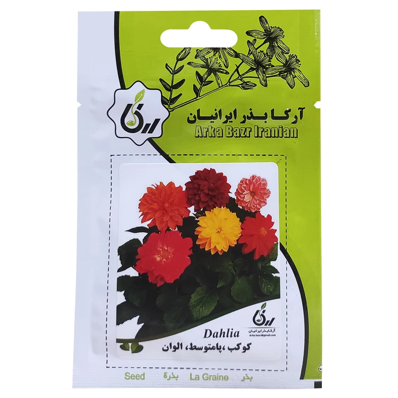 بذر گل کوکب پامتوسط الوان آرکا بذر ایرانیان کد ARK-092