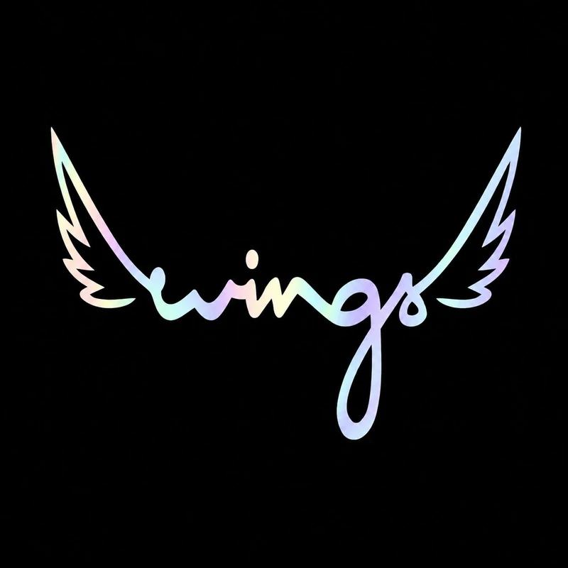 برچسب بدنه خودرو سولگی طرح Wings هولوگرامی کد M264