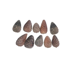 میوه تزیینی مدل کاج 002