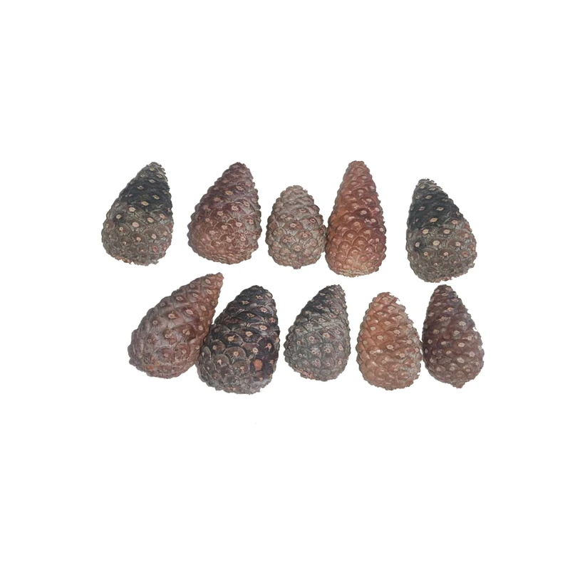 میوه تزیینی مدل کاج 002