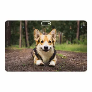 MAHOOT Dog-2 Cover Sticker for GLX W11 Plus