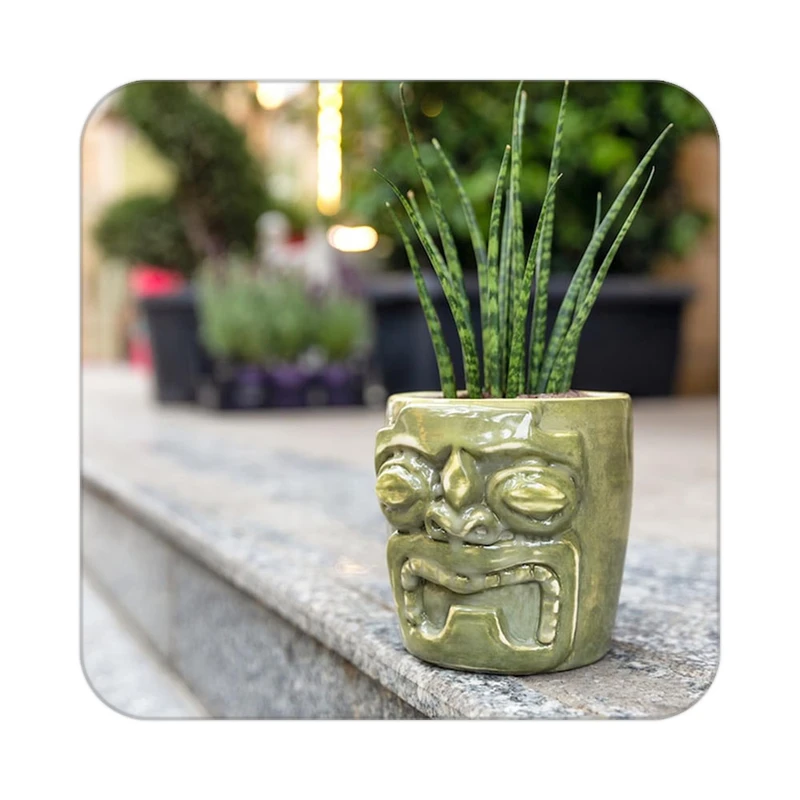 زیر لیوانی کاکتی طرح گل مدل mp18701