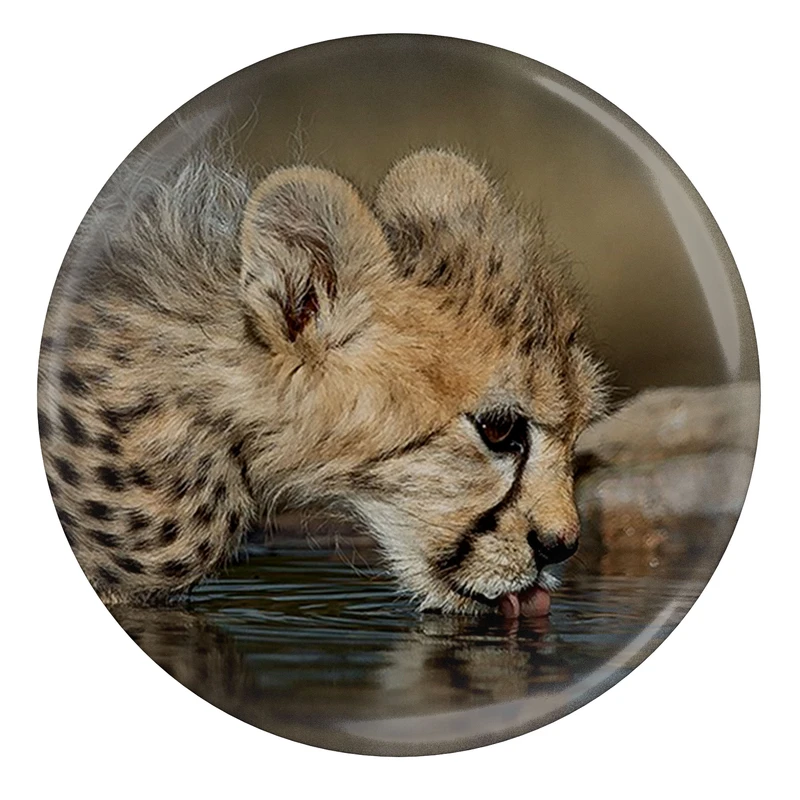 پیکسل مدل S12711 طرح پیروز یوزپلنگ ایران