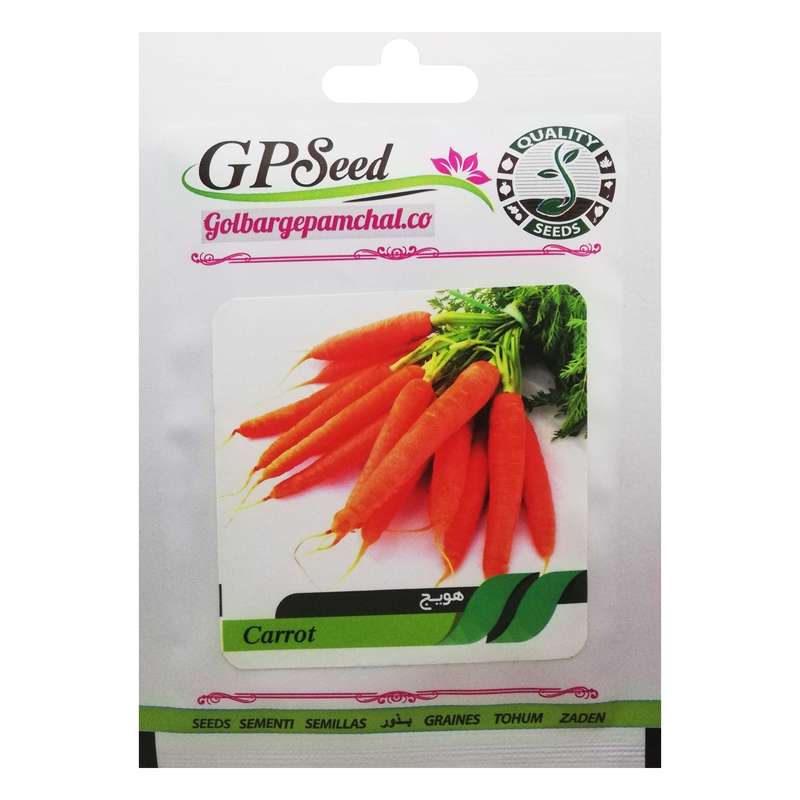 بذر هویج گلبرگ پامچال کد GPF-138
