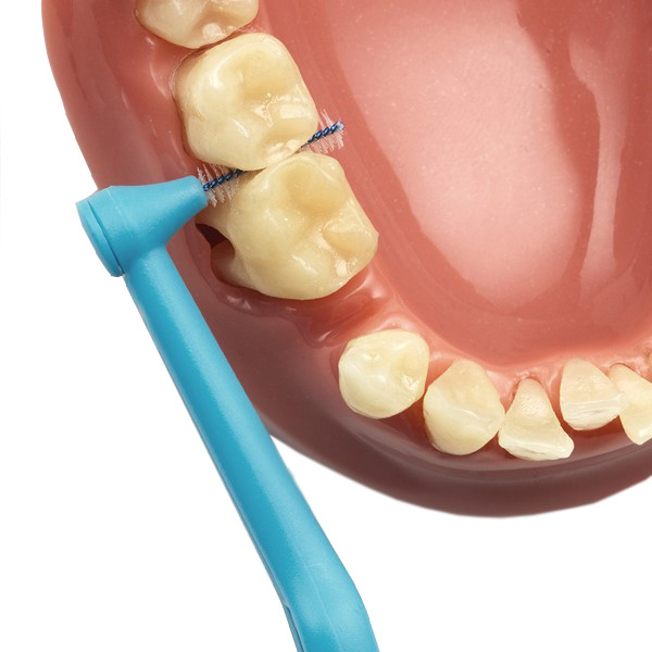 مسواک بین دندانی ته‏‌ په مدل Angle سایز 3 بسته 6 عددی