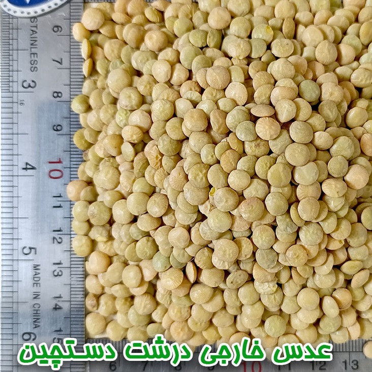 عدس درشت دلاوران - 700 گرم