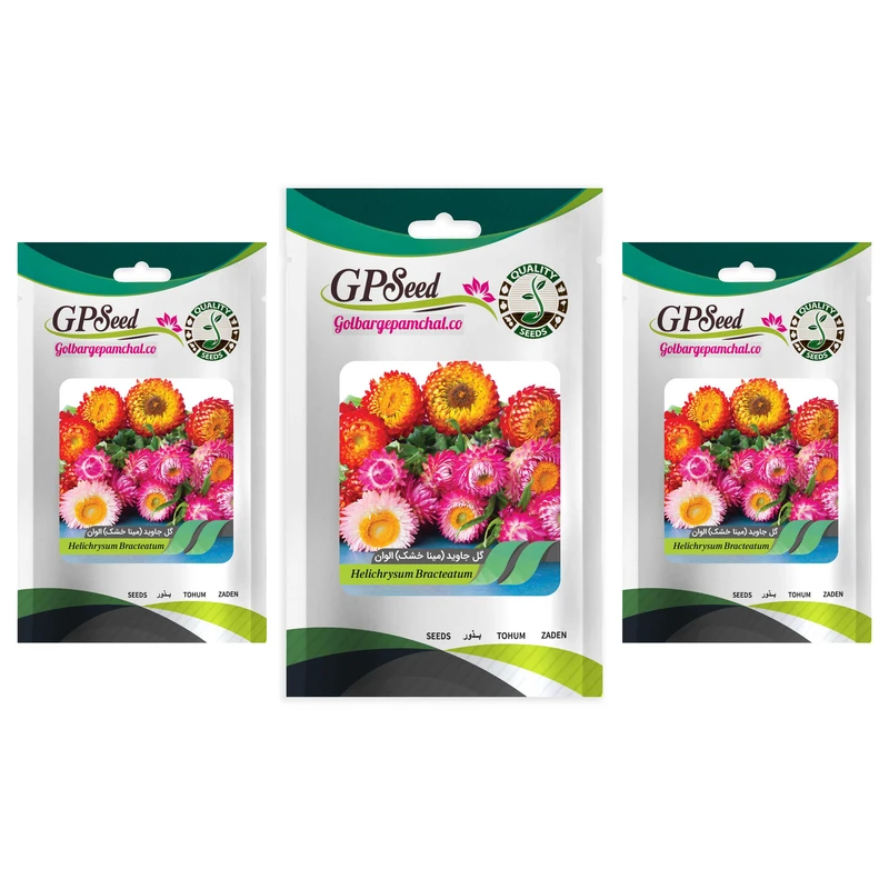 بذر گل جاوید مینا خشک الوان گلبرگ پامچال کد GPF-281 مجموعه 3 عددی