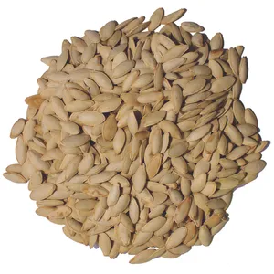 تخمه کدو ریز شور فله مقدار 500 گرم
