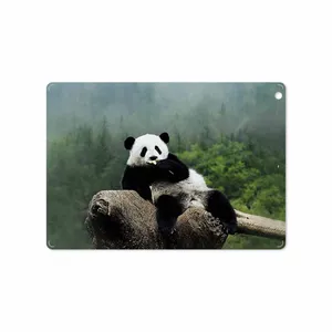 برچسب پوششی ماهوت مدل Panda مناسب برای تبلت اپل iPad Air 2013 A1474