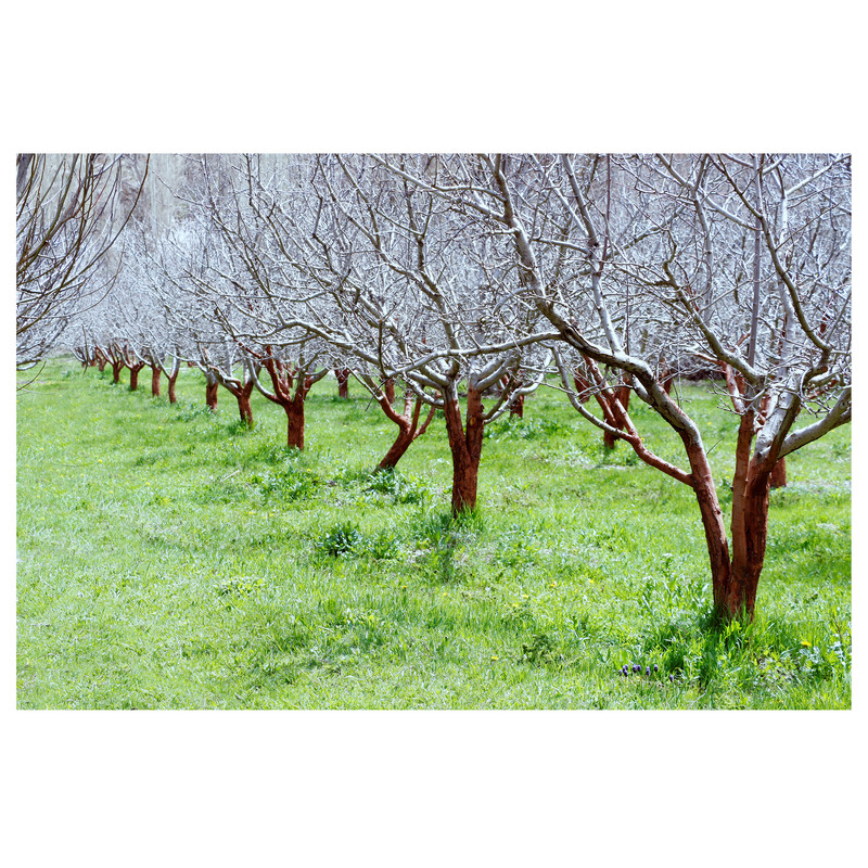 تابلو شاسی مدل A1