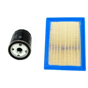 فیلتر روغن ام جی مدل LPW100181 مناسب برای خودرو MG6/550 بهمراه فیلتر هوا