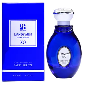 ادو پرفیوم مردانه پاریس بریز مدل DAVDY MEN حجم 100 میلی لیتر