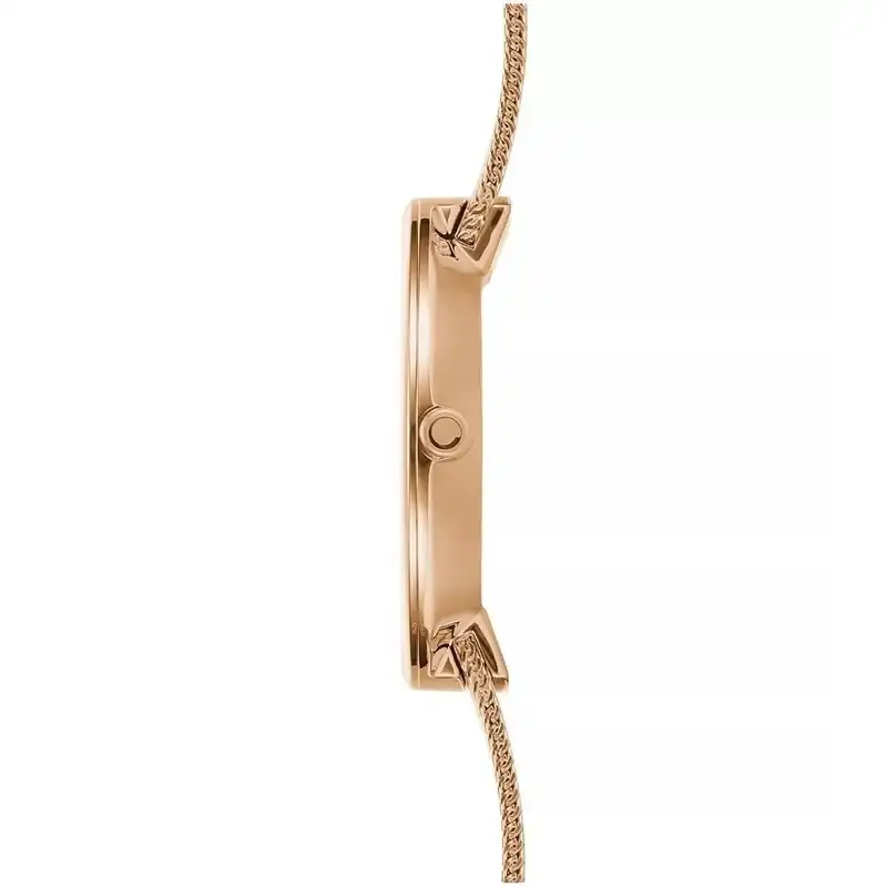 ساعت مچی عقربه ای زنانه اباکو مدل v233lxvimv