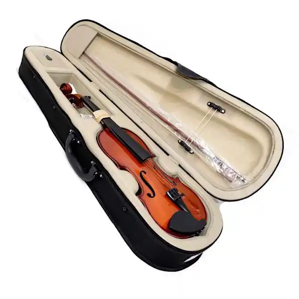 ویولن آماتی کد 100