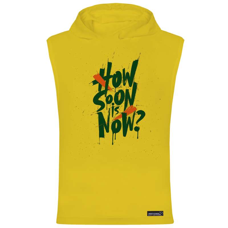 تاپ کلاه دار مردانه 27 مدل  HOW SOON IS NOW کد WN789