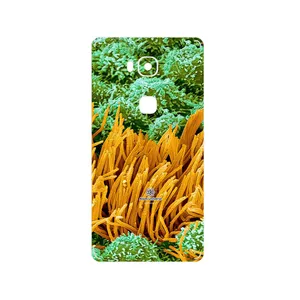 MAHOOT Atom Universe 6 Cover Sticker for Honor 5X