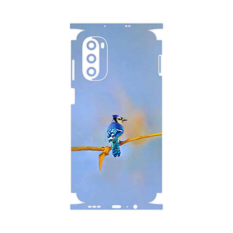 برچسب پوششی ماهوت مدل Cyanocitta cristata-FullSkin مناسب برای گوشی موبایل موتورولا Moto G52