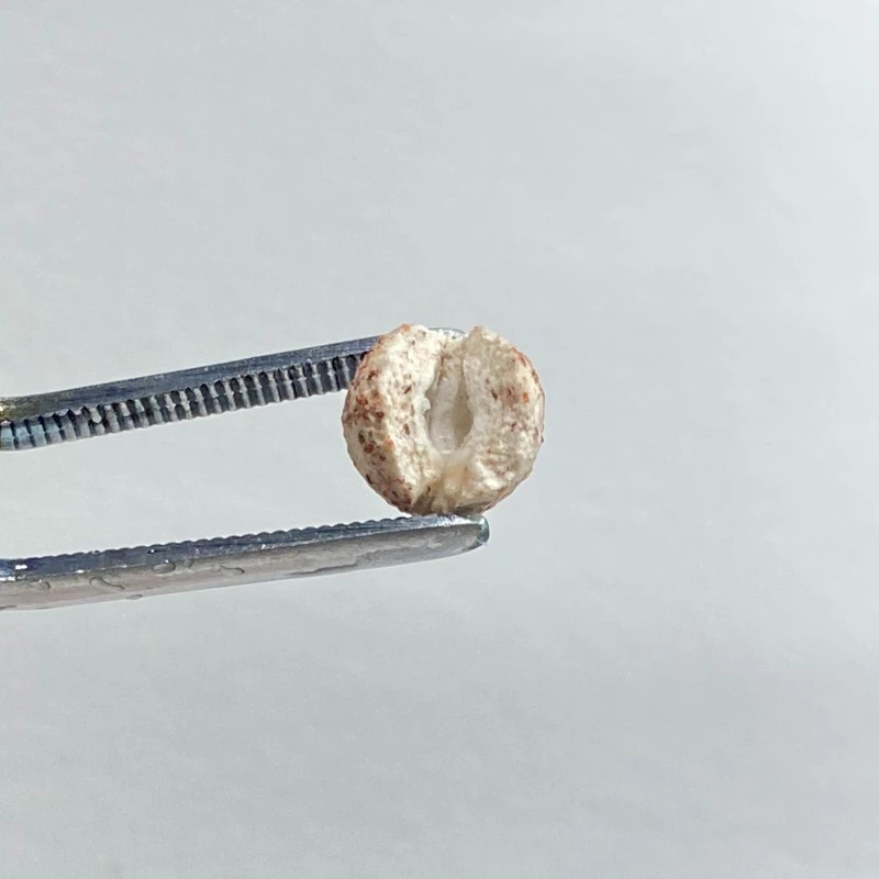 عکس شماره 5 : سرامیک آکواریوم آلیتا مدل media ball alita حجم 1.2 لیتر