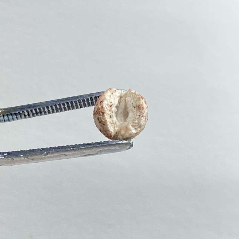 سرامیک آکواریوم آلیتا مدل Media Ball ALITA حجم 1.2 لیتر