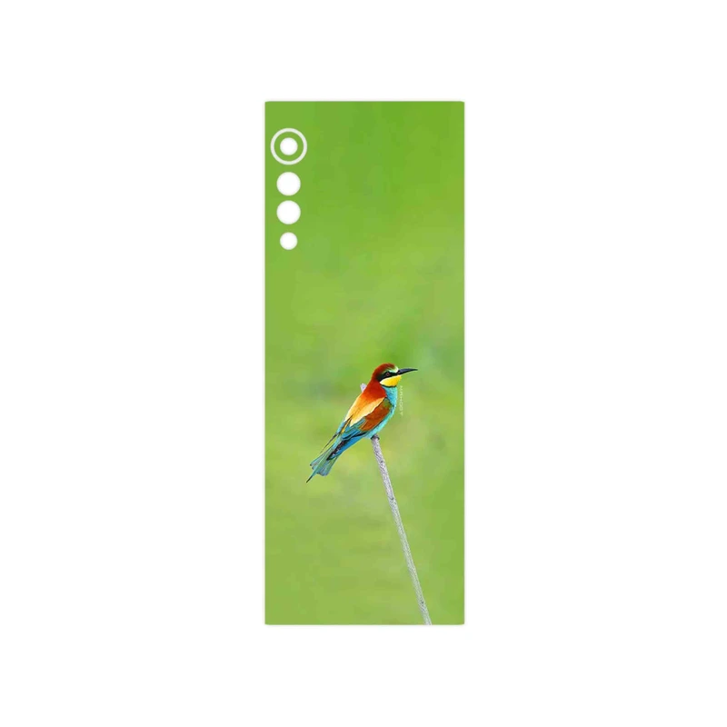 برچسب پوششی ماهوت مدل European bee-eater مناسب برای گوشی موبایل ال جی Velvet 5G