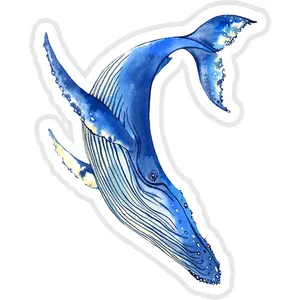 استیکر لپ تاپ طرح Watercolor whale  کد ST2008