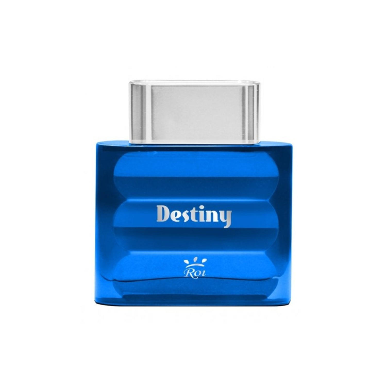 ادو پرفیوم مردانه روی مدل DESTINY حجم 125 میلی لیتر