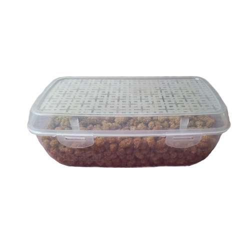 توت خشک - 500 گرم