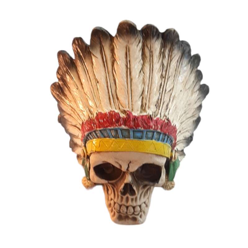 مجسمه مدل اسکلت سرخپوست