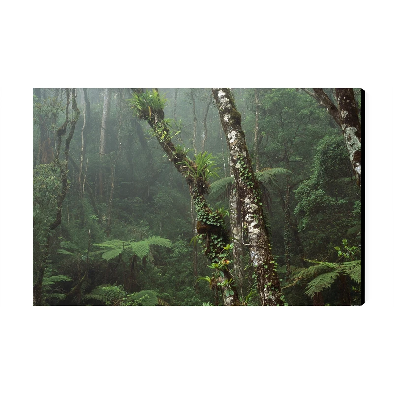 تابلو شاسی عرش مدل فانتزی طبیعت جنگل کد As3965